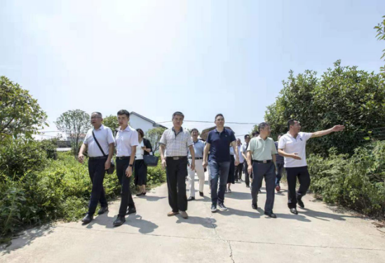 &#24320;&#20113;&#32593;&#39029;&#29256;&#39029;&#38754;&#30331;&#24405;&#45;&#24320;&#20113;&#40;&#20013;&#22269;&#41;